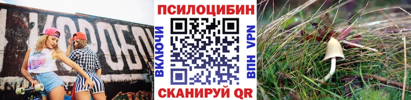 Галлюциногенные грибы Psilocybine cubensis  МЕГА как зайти  Десногорск 