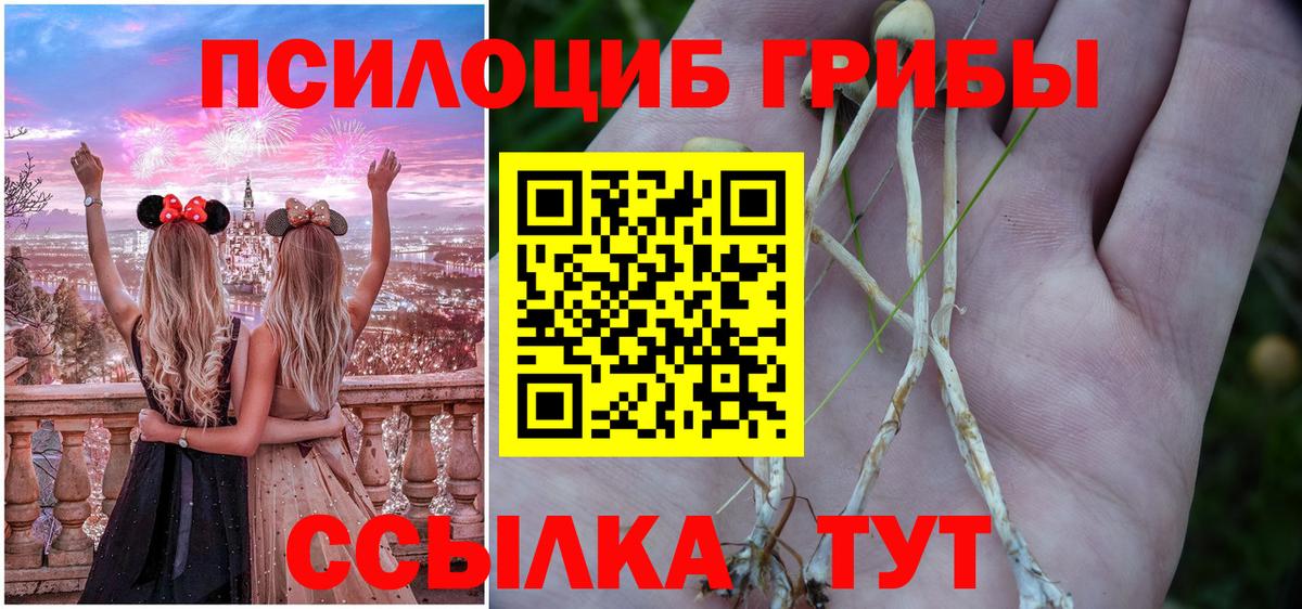 Псилоцибиновые грибы MAGIC MUSHROOMS Десногорск