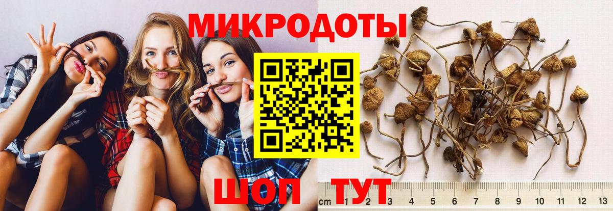 Псилоцибиновые грибы Psilocybe  Галлюциногенные грибы мицелий  Вход с VPN  Десногорск 